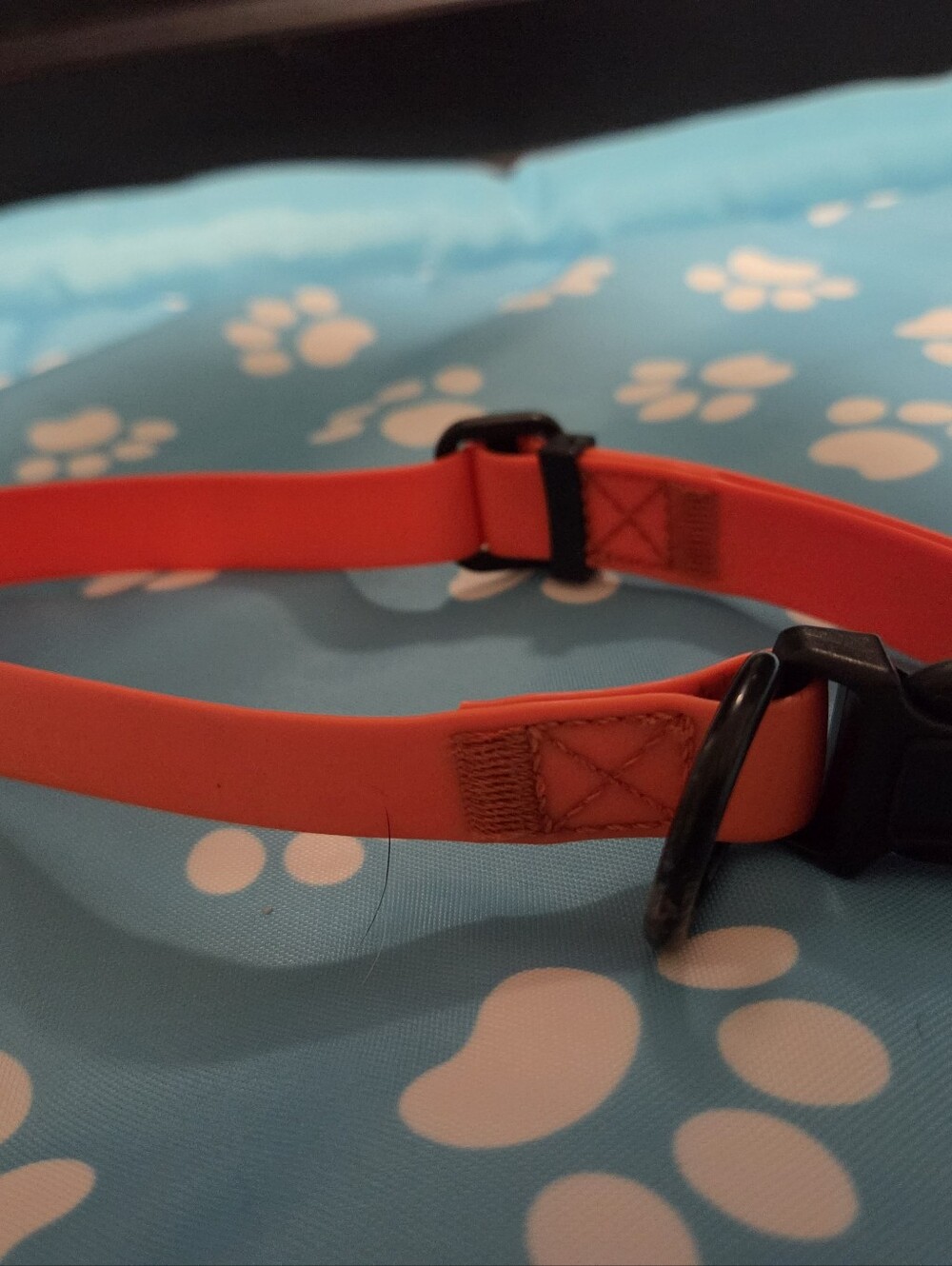 Orange Rubber Waterproof Dog Collar